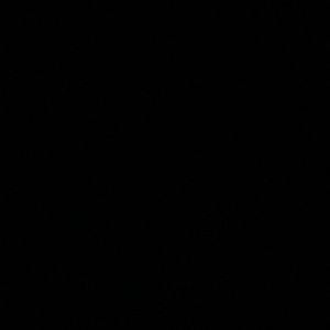 Meet your Posher, Frankie